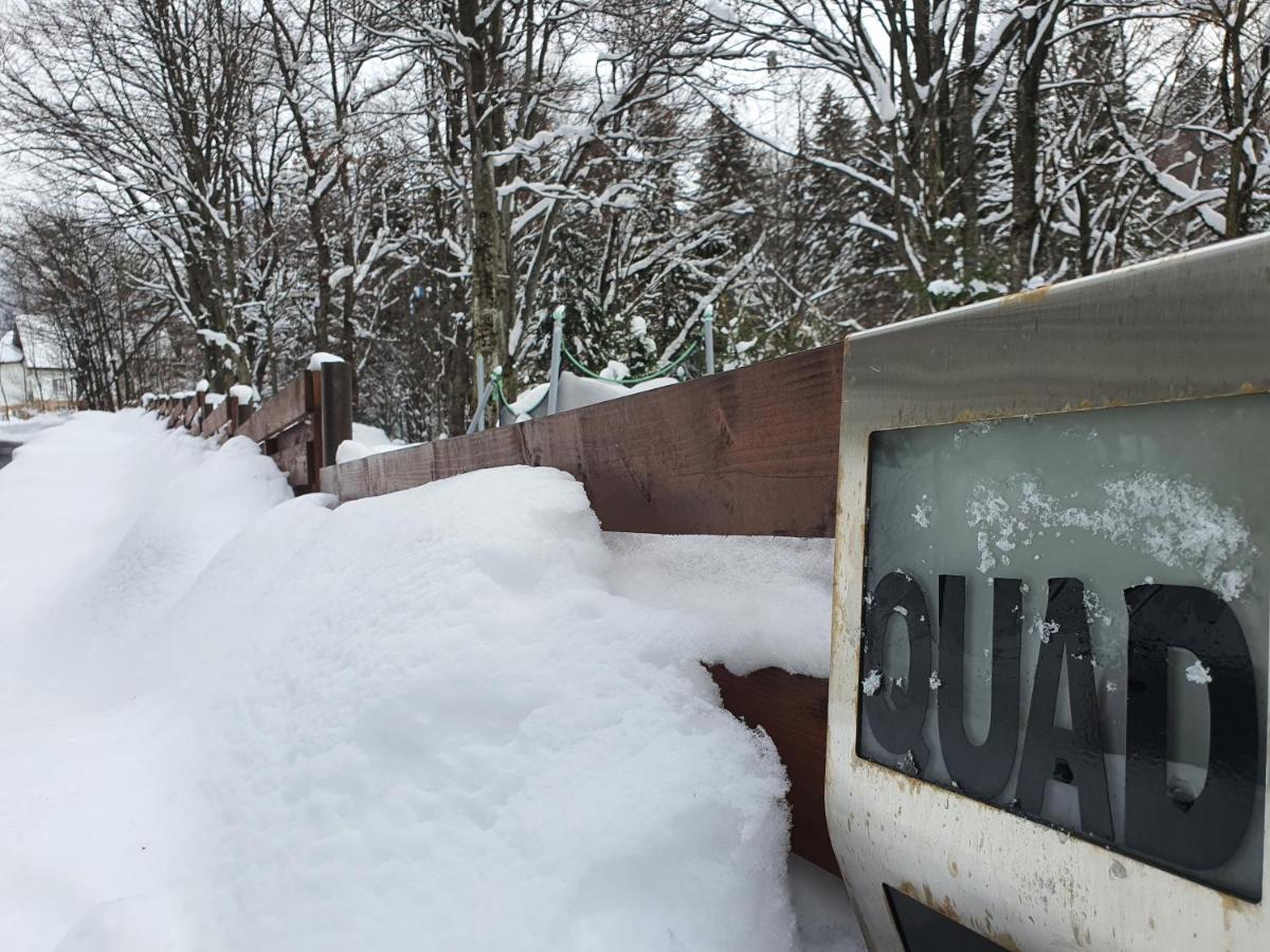Villa Quad Poiana Brasov Buitenkant foto