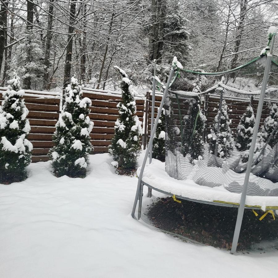 Villa Quad Poiana Brasov Buitenkant foto