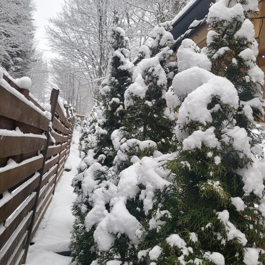 Villa Quad Poiana Brasov Buitenkant foto